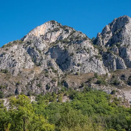 Les D'andrea- Chez Les Fifou Surba