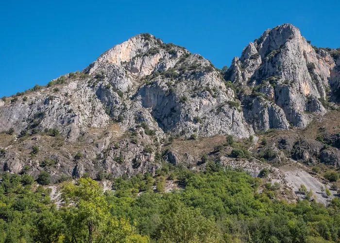 Les D'andrea- Chez Les Fifou Surba